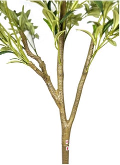 ماركة غير محددة شجرة زيتون بارتفاع 180 سم، مناسبة للمنازل والمكاتب  - Image 5