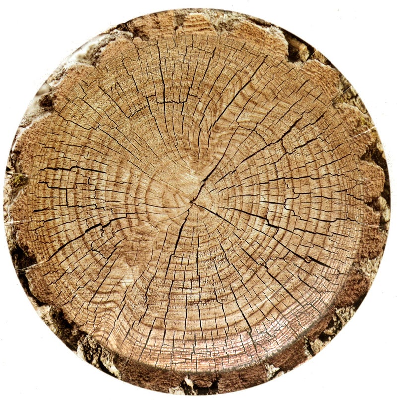 Havercamp Cut Timber Dessert 7 Round Plates 8 plates Authentic Wood Grain paper plates are part of the Cut Timber Party Collection