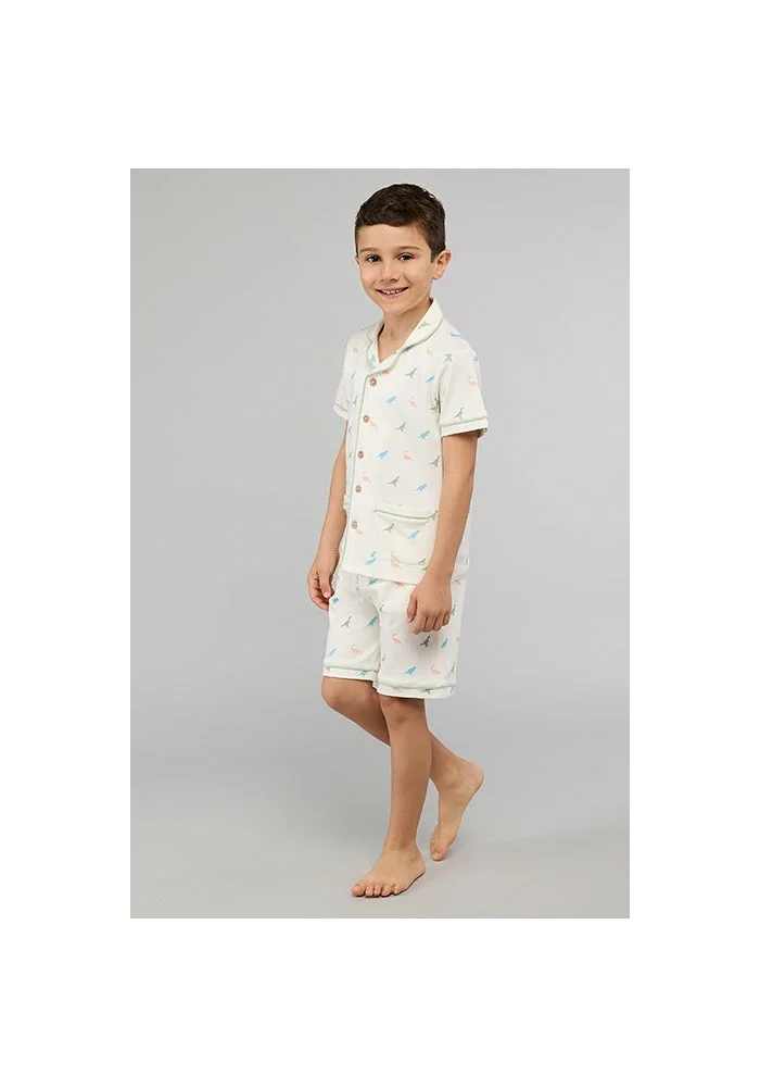 R&b Printed Lapel Collar Shorts Pyjama Set