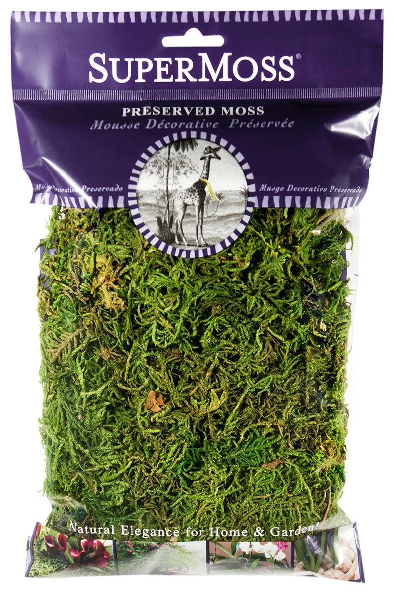 SuperMoss SuperMoss 25320 Forest Moss Preserved Fresh Green 2oz 