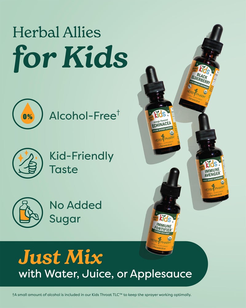 Herb Pharm Kids Mullein and Garlic Oil, Calendula, Garlic, Mullein, St. John's Wort, Olive Oil, 1 Fl Oz (Pack of 1) - Image 3