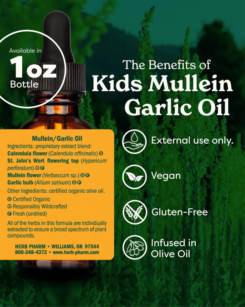 Herb Pharm Kids Mullein and Garlic Oil, Calendula, Garlic, Mullein, St. John's Wort, Olive Oil, 1 Fl Oz (Pack of 1) - Image 2