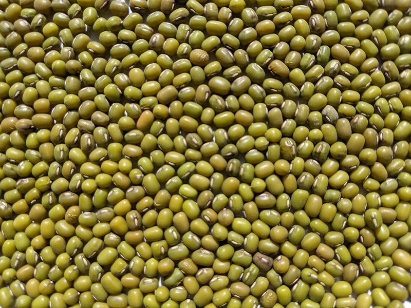 NATURAL ROOTS Mung Beans Sprouting Seeds for Sprouts and Microgreens. Non-GMO. Pack of 10 premeasured seeds for 32oz jars and 8 inch trays. - Image 2