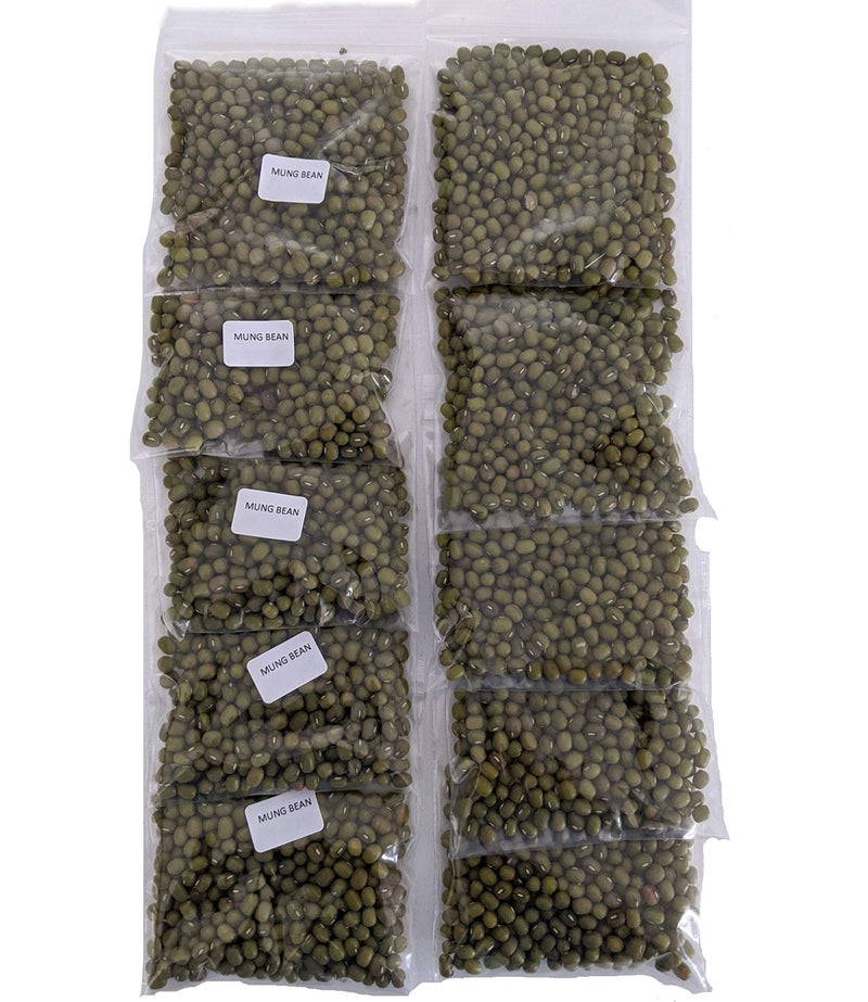 NATURAL ROOTS Mung Beans Sprouting Seeds for Sprouts and Microgreens. Non-GMO. Pack of 10 premeasured seeds for 32oz jars and 8 inch trays. - Image 1