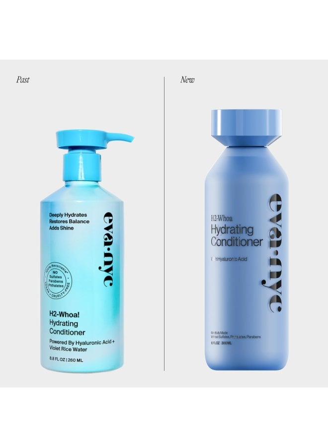 Eva NYC H2 Whoa Hydrating Conditioner, 10 fl oz - Image 2