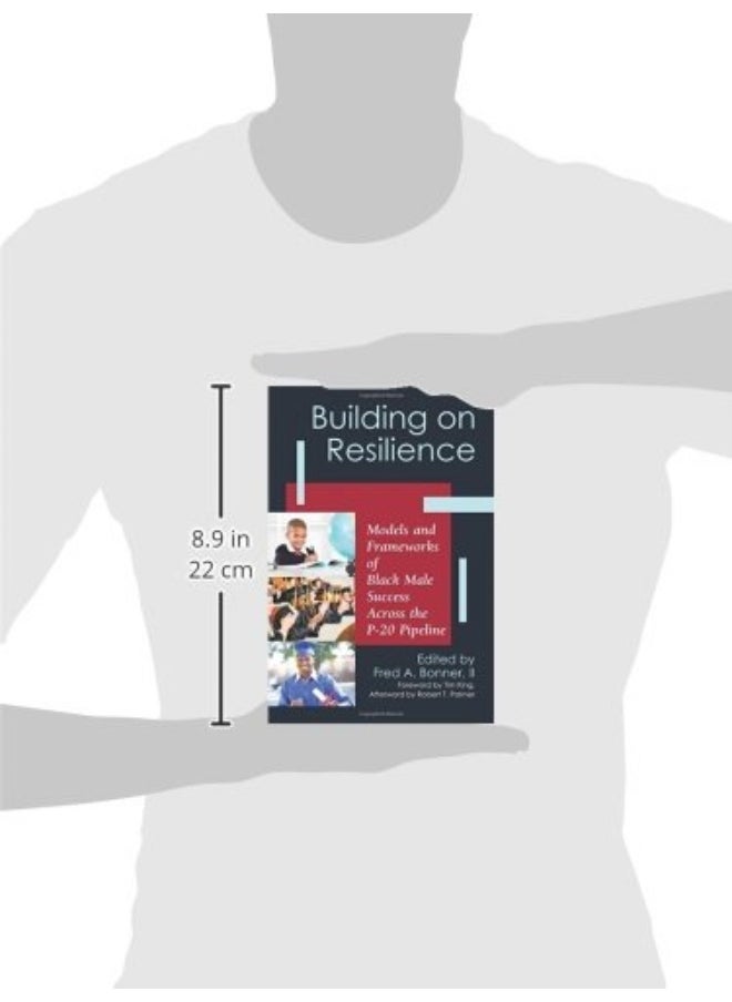 null - Building on Resilience: Models and Frameworks of Black Male Success Across the P-20 Pipeline - Image 1