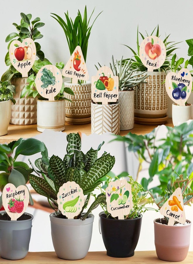 JUYRLE Vegetable Plant Label - 15PACK Garden Markers, Fruit Plant Labels for Outdoor Garden Waterproof, Plant Tags with Names, Indoor Patio Tags for Succulent Flowers Greenery Seedling - Image 5