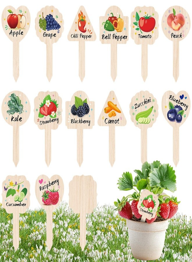 JUYRLE Vegetable Plant Label - 15PACK Garden Markers, Fruit Plant Labels for Outdoor Garden Waterproof, Plant Tags with Names, Indoor Patio Tags for Succulent Flowers Greenery Seedling - Image 1