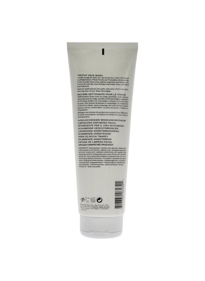 Origins Checks And Balances Frothy Face Wash Cleanser Unisex 8.5 Oz  - Image 2