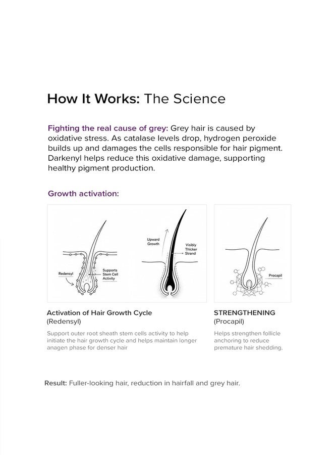 Minimalist Hair Growth + Anti-Grey Actives 15.6% Hair Serum - Image 3