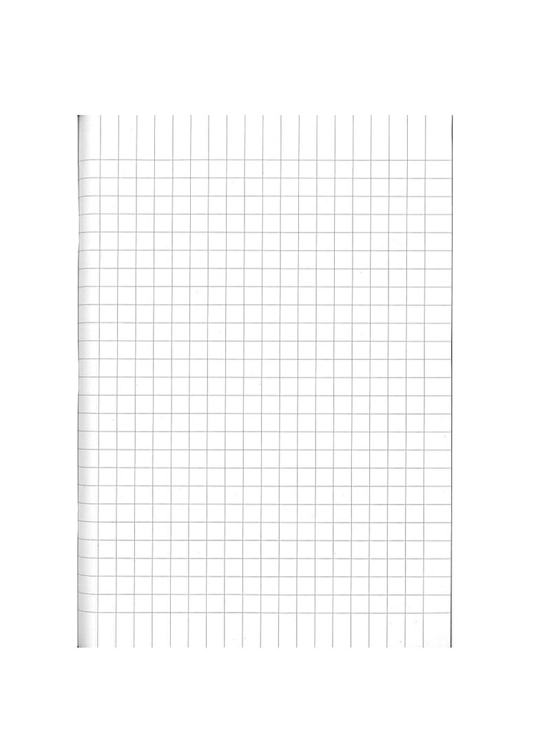 Paperline 80 SHEET EXERCISE BOOK LONG 10MM - Image 2