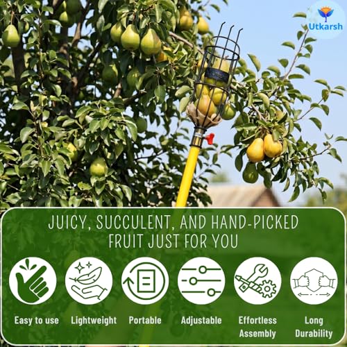 Utkarsh Lemon Picker Basket | Small Fruit Plucker Basket for Lemon, Apple, Pear, & More | Easy to Use Fruits Catcher | Fruit Picker for Convenient & Safe Harvesting - Set of 1 PC - Image 4