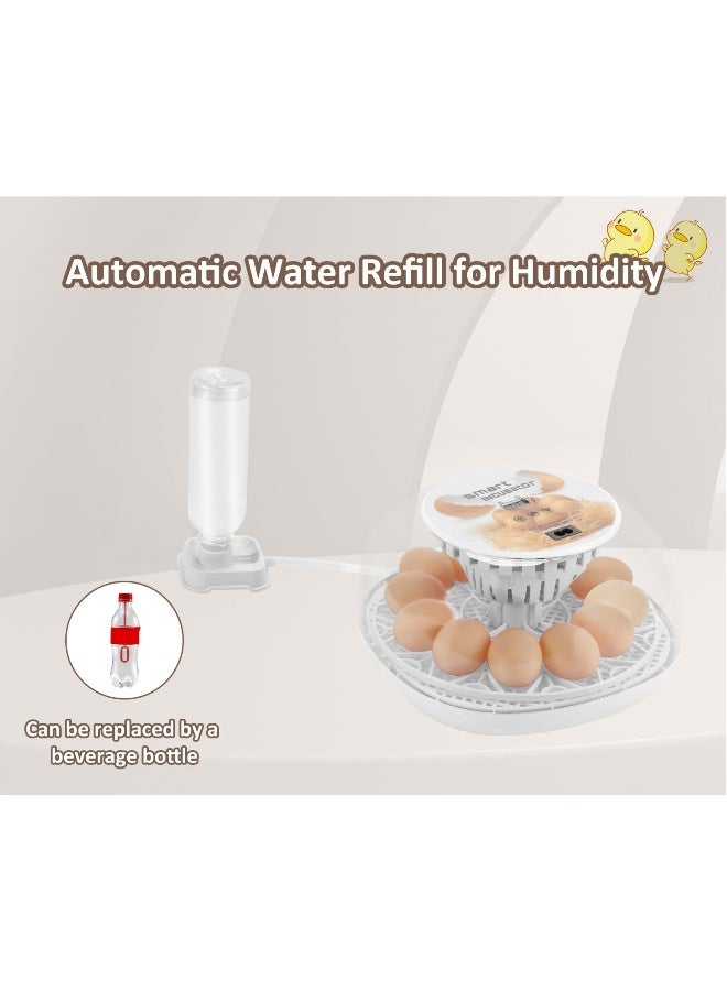 12 جهاز تفريخ بيض، جهاز تفريخ ذكي مع دوران البيض التلقائي، إعادة تعبئة الرطوبة تلقائيًا والتحكم التلقائي في درجة الحرارة، جهاز تفريخ مع عرض درجة الحرارة لبيض الدجاج/البط/السلوى/الأوز. - Image 3