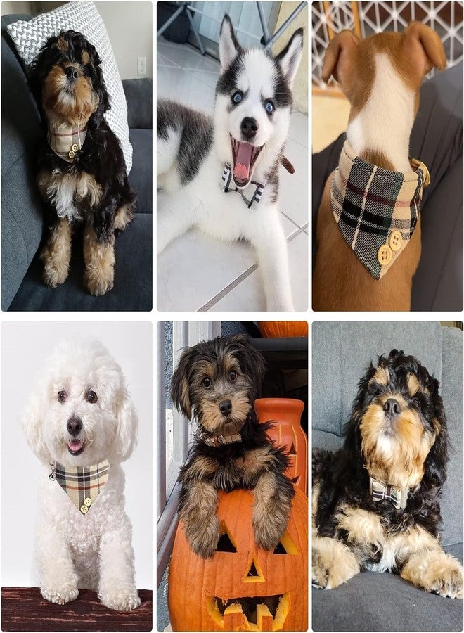 كولتيل طقم طوق ومقود للكلاب الصغيرة من كولتيل مع ربطة عنق وأجراس - طوق ومقود للجراء، مناسب للذكور والإناث، بنقشة مربعات كلاسيكية متناسقة، ومقود من الجلد الناعم مانع للتشابك، مناسب للكلاب والقطط الصغيرة، لون بيج. - Image 5