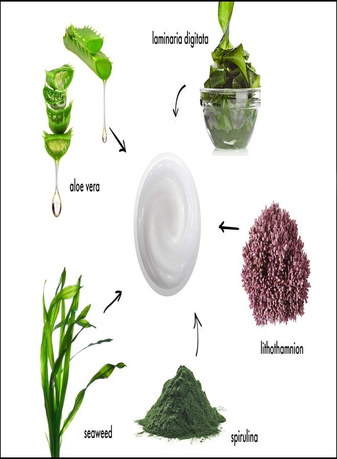 Raya Ultra-Light Seaweed Cream (304) | Anti-Aging Moisturizer for Oily, Break-Out Skin | Hydrating Face Cream Reduces Fine Lines, Wrinkles | Best Facial Moisturizer for Dry, Aging Skin | Controls Oil - Image 2