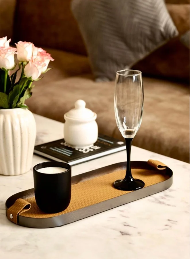 Casa Quesera Brown Capsule Leather Tray in Brushed Steel Finish by Casa Quesera