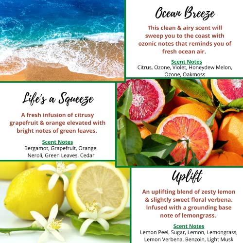 Kermode Fresh Clean Scent Wax Melts Wax Cubes - Spring Summer Scented Wax Melt Variety Pack for Wax Warmers - Kermode Natural Aromatherapy Fragrance - Long Lasting Bulk Assorted Safe Melting Soy Tarts - Image 3