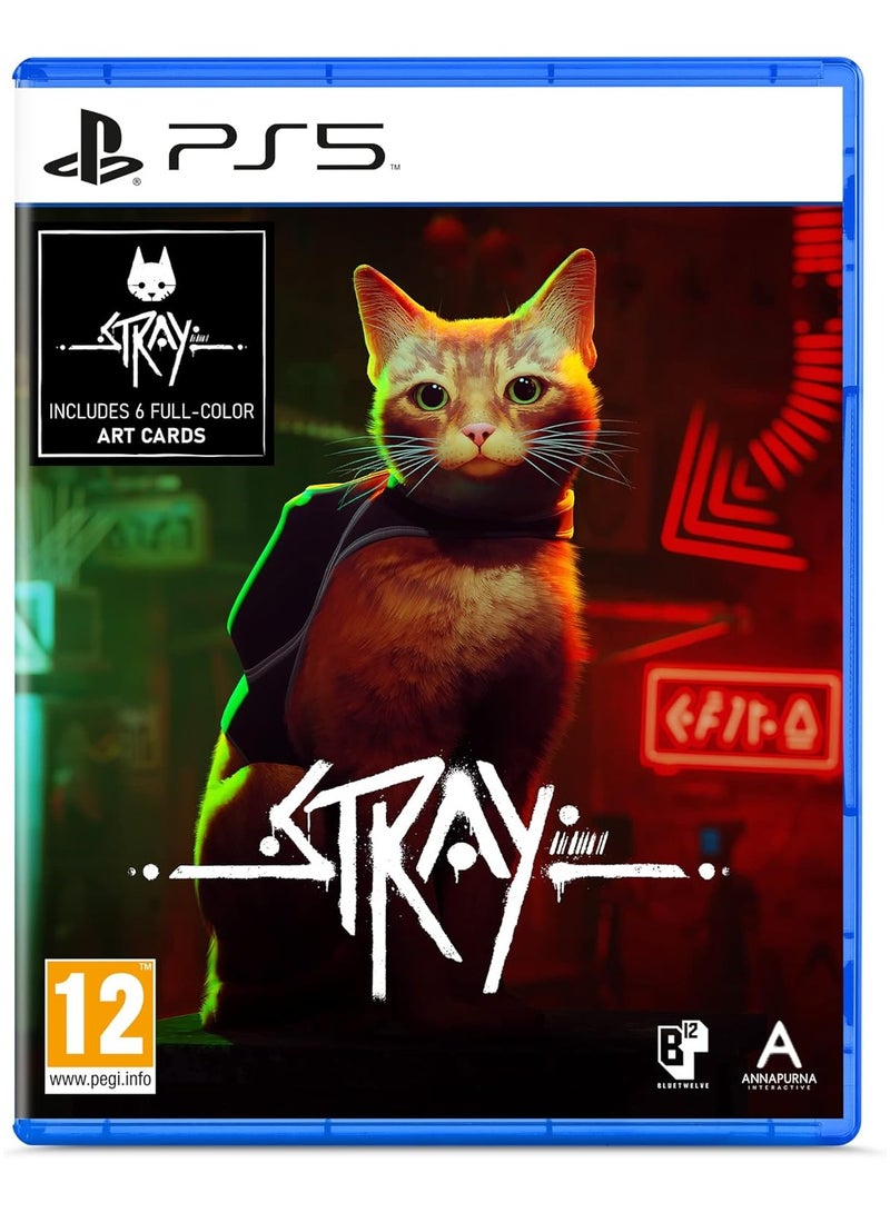 FC PS5 Stray - Image 1