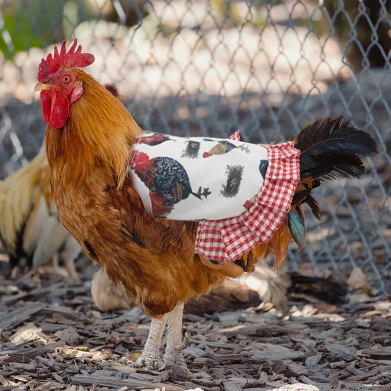 AIEX 4 Pack Standard Chicken Saddle Hen Apron with Elastic Straps Poultry Back Wing Protection for Care Accessories Hen Supplies - Image 5