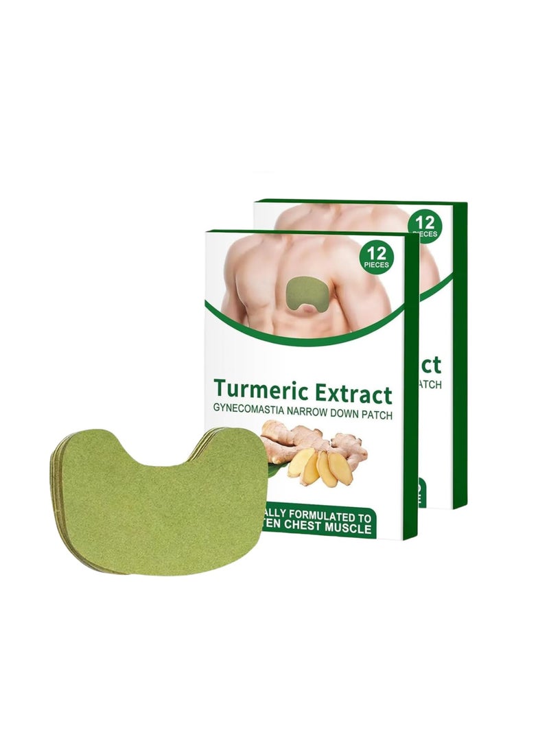 SYOSI Gynecomastia Compress Patch, Gynecomastia Tightening Ginger Patch, Ginger Cream for Men, Tightening Chest Muscles with Natural Ingredients, Shrinks Men Chest Tightening Ginger Cellulite Patch (2 Set)  - Image 1
