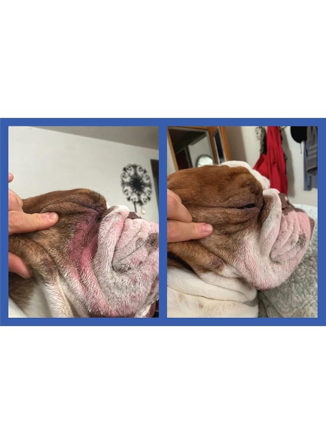 Squishface Wrinkle Paste Cleans & Protects Dog WrinklesTear StainsAnd Tail Pockets  - Image 5
