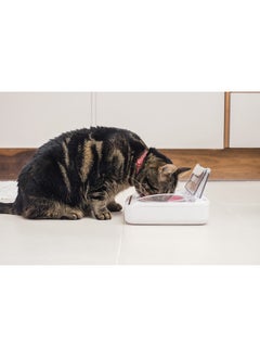 SureFlap Sure Petcare  Surefeed  Motion Activated Sealed Pet Bowl  Not Microchip Activated  - Image 2