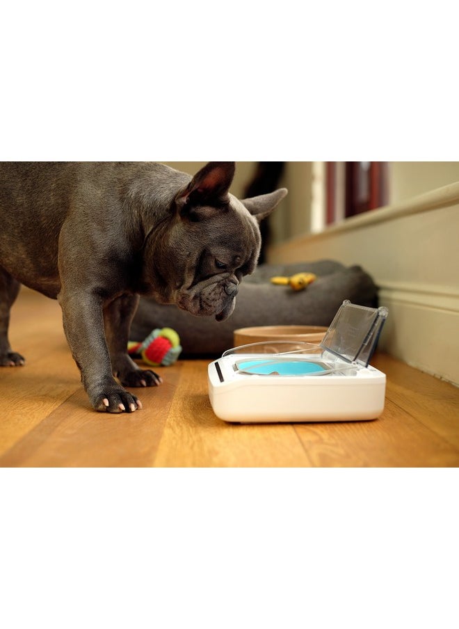 SureFlap - Sure Petcare  Surefeed  Motion Activated Sealed Pet Bowl  Not Microchip Activated - Image 1