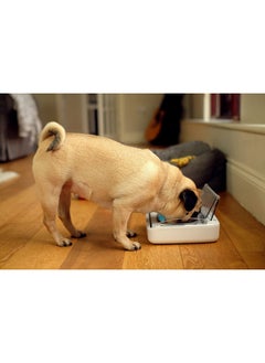 SureFlap Sure Petcare  Surefeed  Motion Activated Sealed Pet Bowl  Not Microchip Activated  - Image 4
