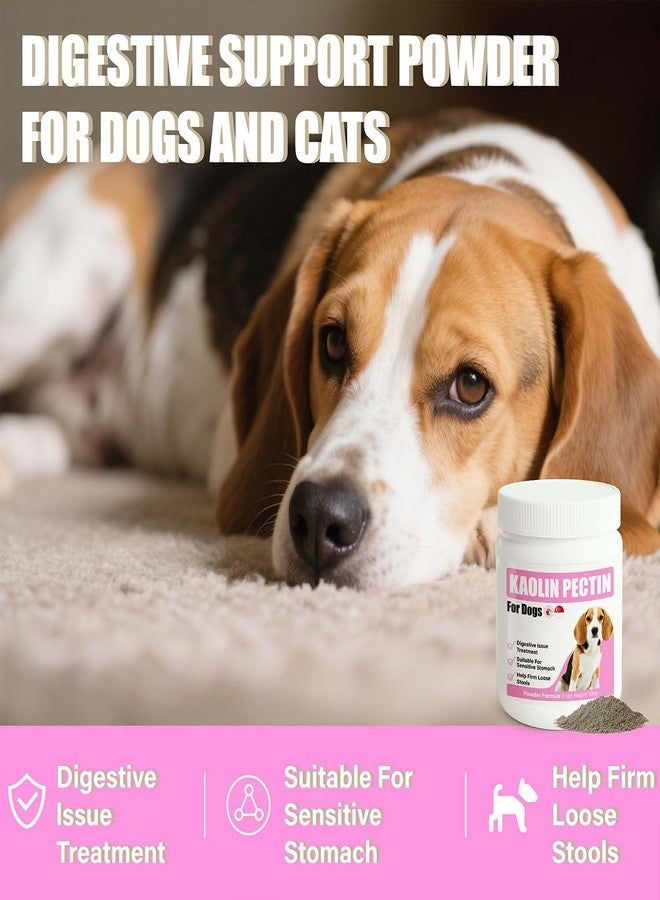 VetaSure Kaolin Pectin Powder for Dogs, Fast-Acting Anti-Diarrhea Formula with Probiotics - Soothes Upset Stomach, Firms Loose Stool, Digestive Support Supplement for Pet - Image 2
