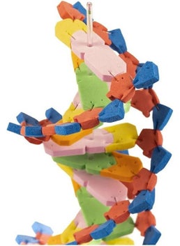 Artlantis DNA Model 1 Pack Evadan DNA Construction Set DNA Sema Experiment Construction Set School Materials  - Image 3