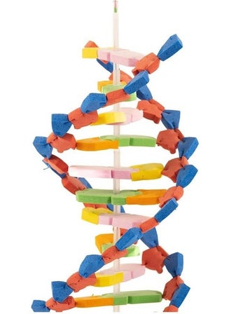 Artlantis DNA Model 1 Pack Evadan DNA Construction Set DNA Sema Experiment Construction Set School Materials  - Image 2
