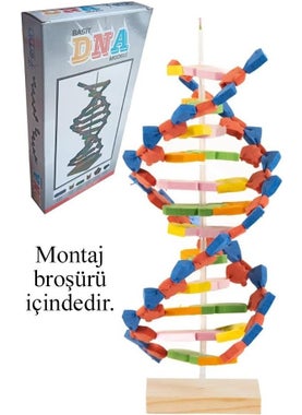 Artlantis DNA Model 1 Pack Evadan DNA Construction Set DNA Sema Experiment Construction Set School Materials  - Image 1
