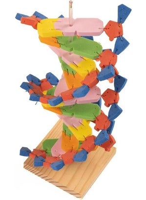 Artlantis DNA Model 1 Pack Evadan DNA Construction Set DNA Sema Experiment Construction Set School Materials  - Image 4