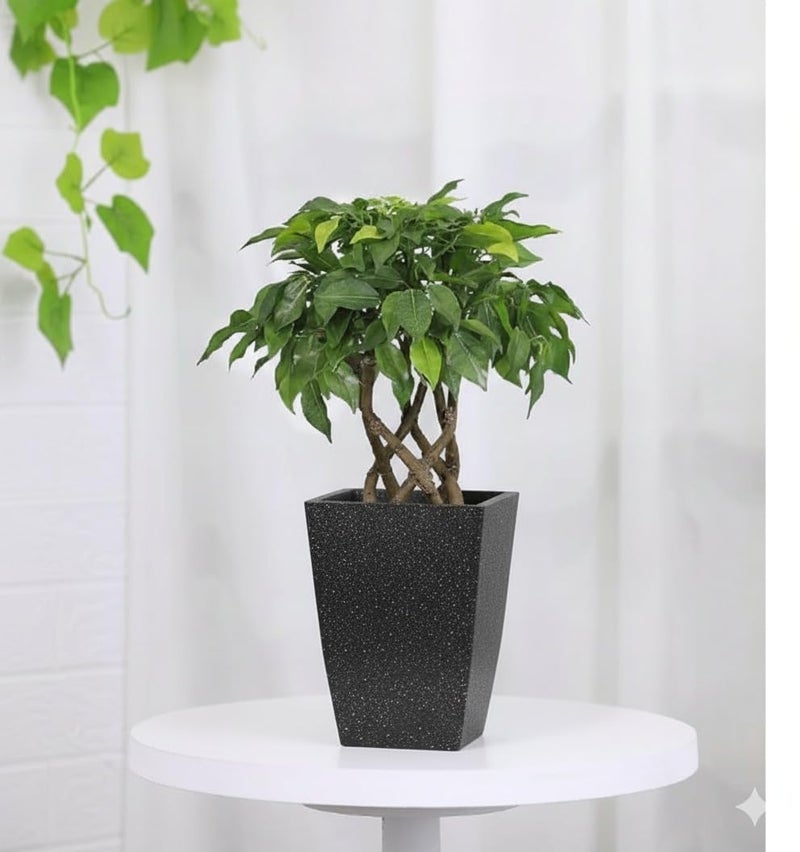 Leafy Tales Modern Roto Square Tower Planter for Home Décor 12 INCH, Highly Durable,Lightweight Indoor Outdoor Planter, Flower Pot Gamla - Image 5