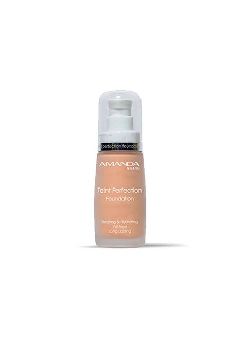 Teint Perfection Foundation No 25