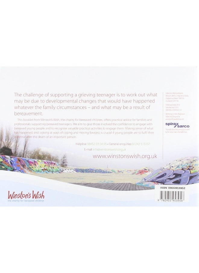 You Just Don't Understand: Supporting Bereaved Teenagers  - Image 2