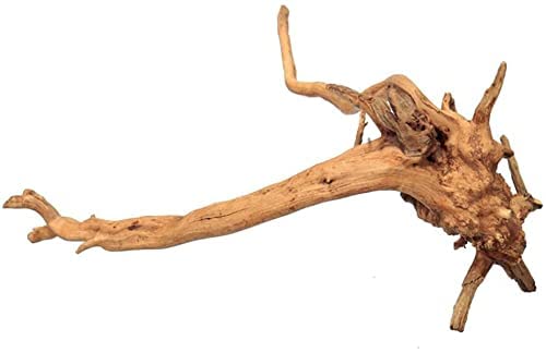 DEZIINE�1 Pcs Aquarium Driftwood 8 to 10Inch, Spider Wood Sinkable Driftwood for Fish Tank Decorations Natural Branches for Reptile - Image 2
