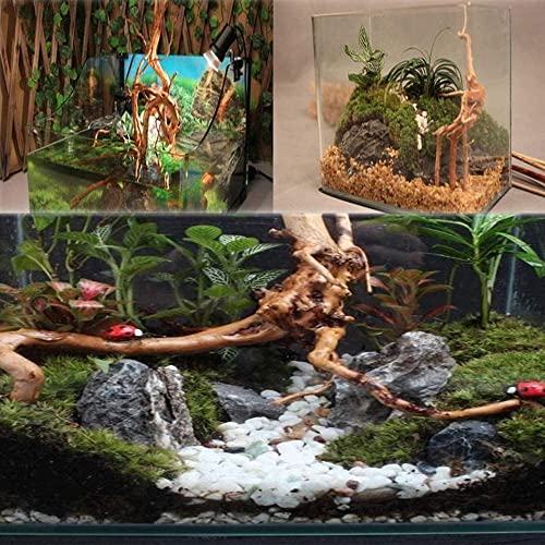 DEZIINE�1 Pcs Aquarium Driftwood 8 to 10Inch, Spider Wood Sinkable Driftwood for Fish Tank Decorations Natural Branches for Reptile - Image 5