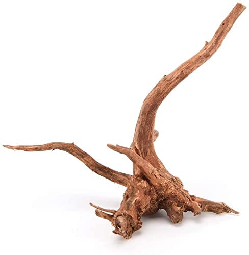 DEZIINE�1 Pcs Aquarium Driftwood 8 to 10Inch, Spider Wood Sinkable Driftwood for Fish Tank Decorations Natural Branches for Reptile - Image 3