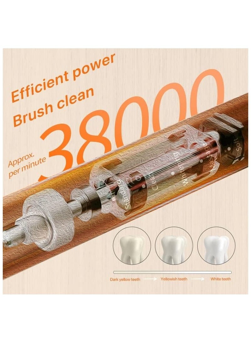 باميدي TX5 Sonic Electric Toothbrush 38000 Vibration Rechargeable - Image 4