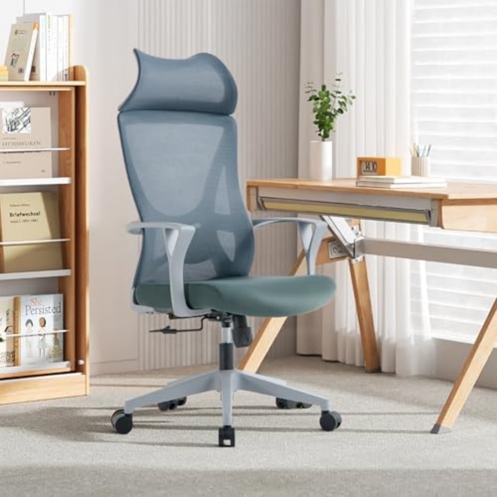 Ergonomic Office Chair, Adjustable Executive Desk Chair, Lumbar Support Reclining Lock Function for Home Office Study, Mesh Chair with rest