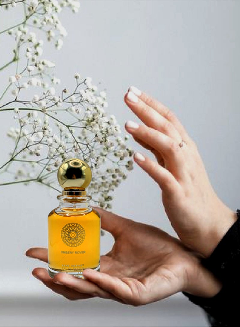 Rosemount Ombery Rover Eau De Perfume 100 ml Best Arabic Perfumes for Men Unleash Long Lasting Elegance for Every Occasion Luxurious Men’s Fragrances - Image 3
