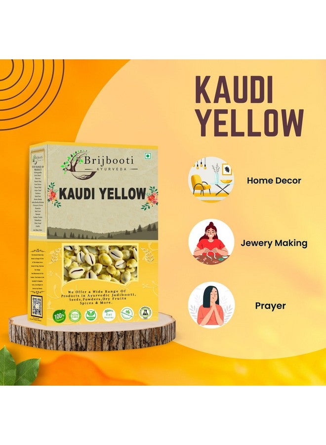 BrijBooti Natural Pili Kaudi - Yellow Kaudi - Yellow Kawri - Kodi - Peeli Cowrie - Laxmi and Diwali Puja Article (108 Pieces) - Image 3