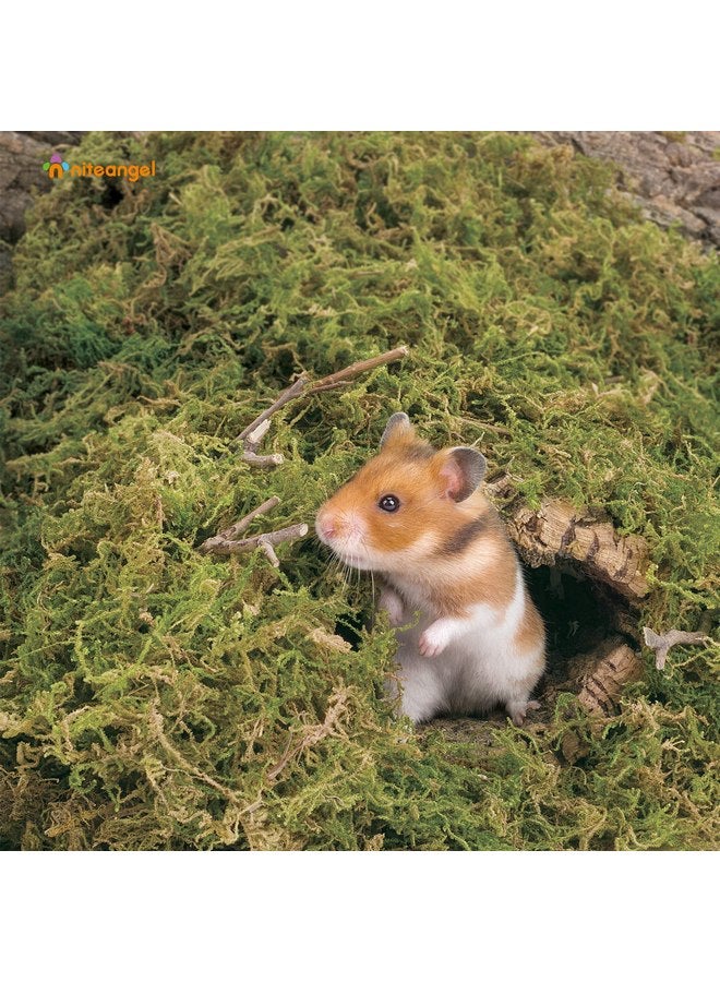 Niteangel 5L Forest Moss Soft Natural Moss Bedding Nesting for Dwarf Syrian Hamsters, Gerbils, mices, Degus or Other Small Animal - Image 3