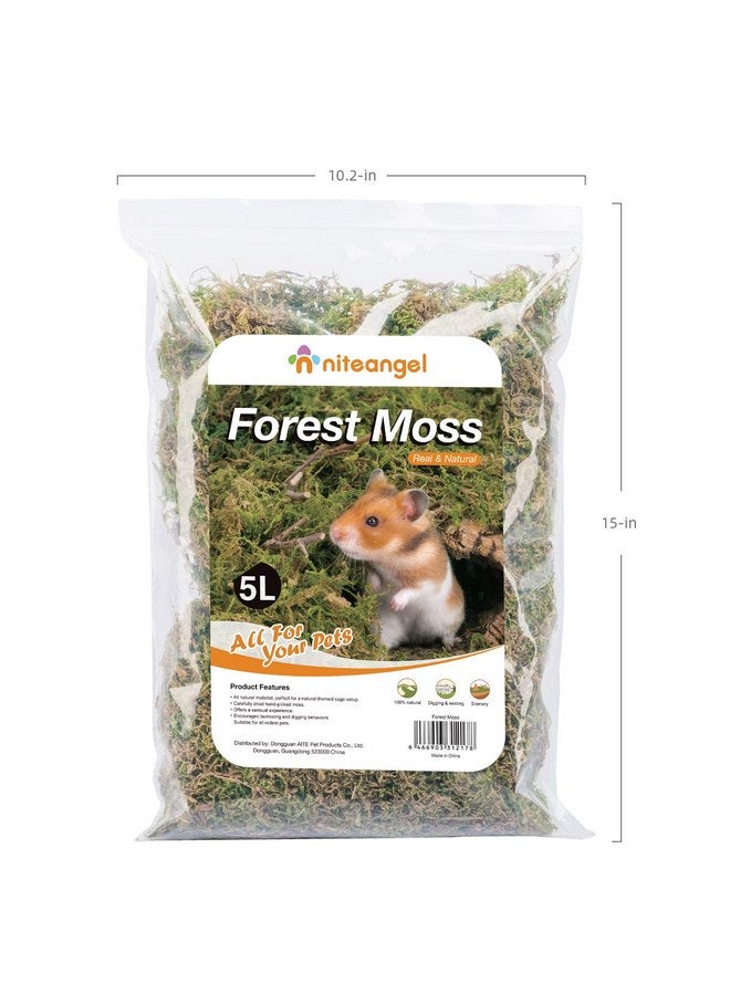 Niteangel 5L Forest Moss Soft Natural Moss Bedding Nesting for Dwarf Syrian Hamsters, Gerbils, mices, Degus or Other Small Animal - Image 4