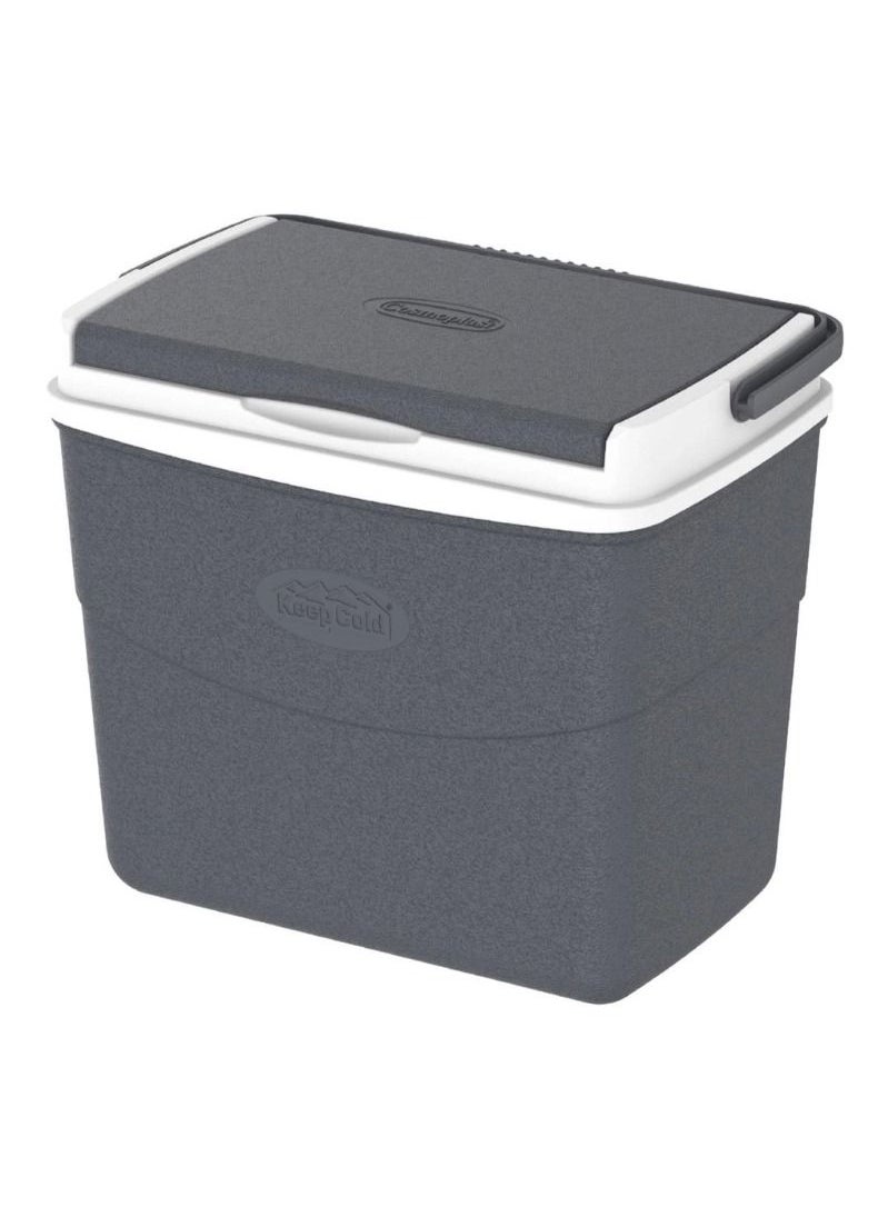 Cosmoplast Keepcold Picnic Ice Box 10L 