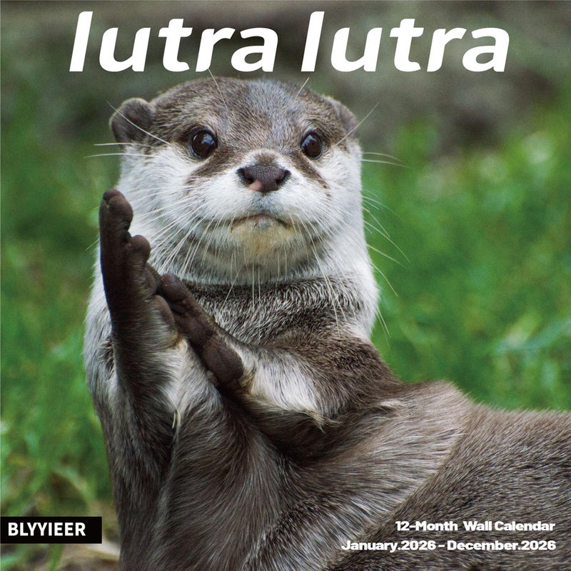 BLYYIEER 2026 Wall Calendar,Lutra Lutra Monthly Wall Calendar, 12" x 24" Open,Family Planner Calendar Organizer with funny Lutra Lutra Images - Image 1
