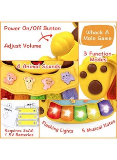 Stone and Clark Adorable Lion Baby Piano Toy 5 Different Numbered And Colored Light Up Key Touch And Teach Baby Musical Toy W/ 3 Play Modes Interactive Toy For Babies 12 Months & Up  - Image 4