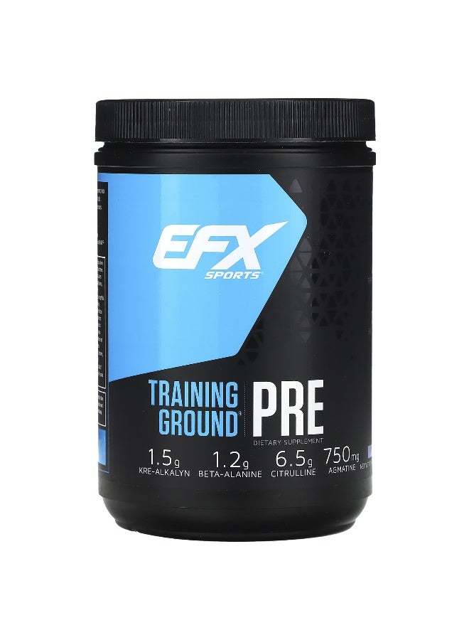 EFX SPORTS EFX Sports, Training Ground, PRE, Blueberry, 1 lb 1.64 oz (500 g)  - Image 1