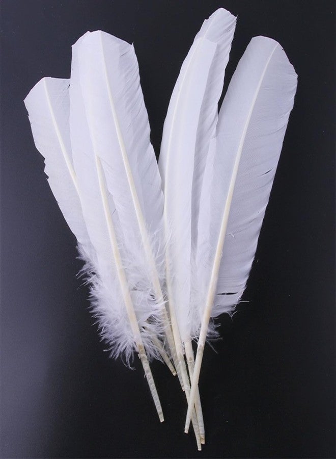 XKTEI 24Pcs White Turkey Feathers with 10~12 inches Long,Beautiful Long Feather（26-31CM）,Big Size Bilateral Natural Turkey Feather,for Wedding Dress and Party Decoration,DIY Fabricating Handicraft Article - Image 4